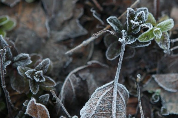 الخميس.. أجواء باردة وتحذيرات من الصقيع
