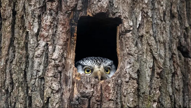 هل شعرت هذه الكائنات بزلزال تركيا