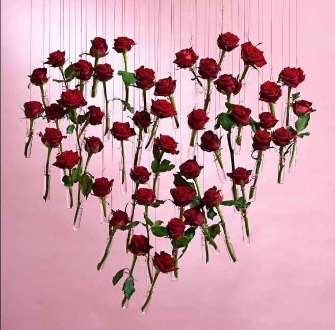 عيد الحب والجوري الأحمر في الأسواق