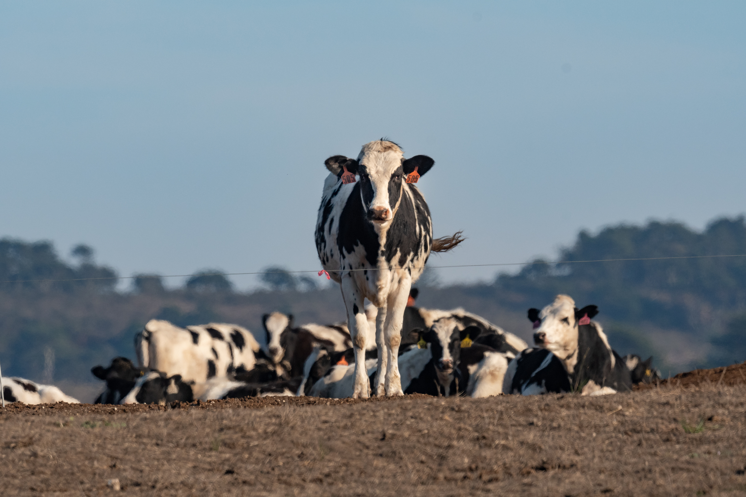 45 يوما للوصول إلى استقرار في