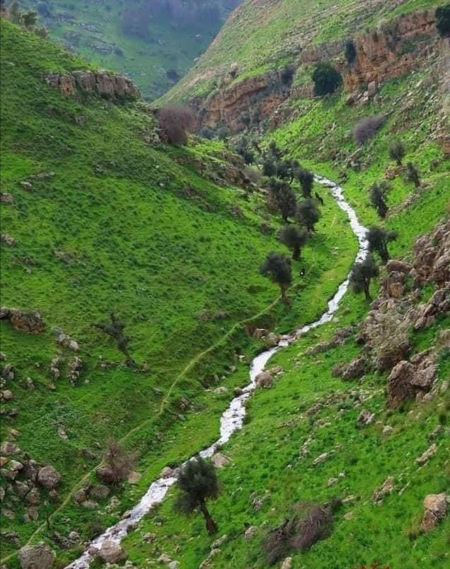 وادي زقيق.. جمال طبيعي وإرث تاريخي