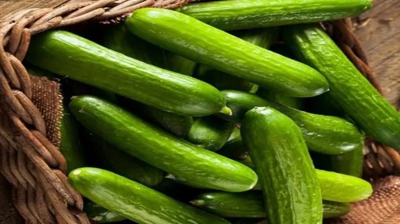 أسعار الخيار.. من 110 قروش لـ