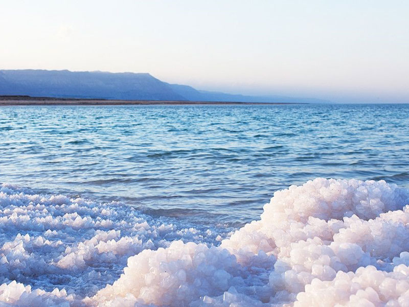 نسبة حجوزات فنادق البحر الميت لفئة