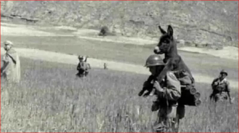 صورة لجنديّ يحمل حمارا تغزو مواقع