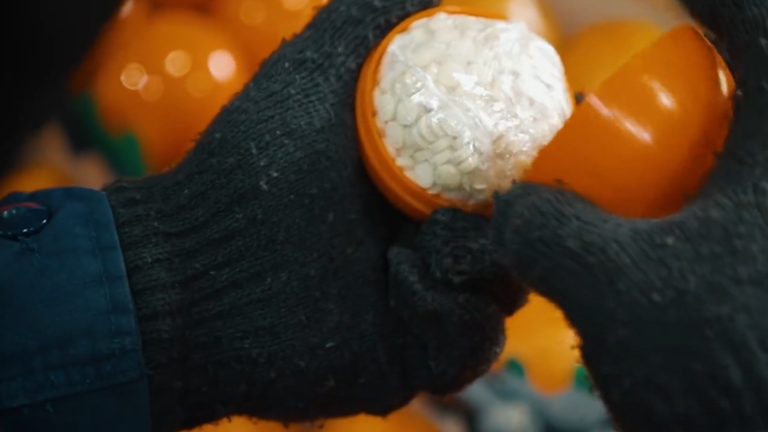 الزراعة تعلق على ما يتم تداوله