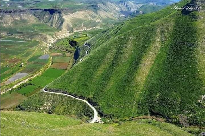 اربد: حركة سياحية نشطة للمناطق الطبيعية