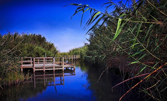 إعلان محمية الأزرق متنزها عالميا للسلام