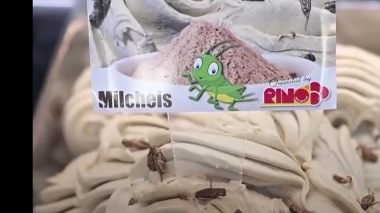 آيس كريم بنكهة الصراصير.. السلطات السعودية