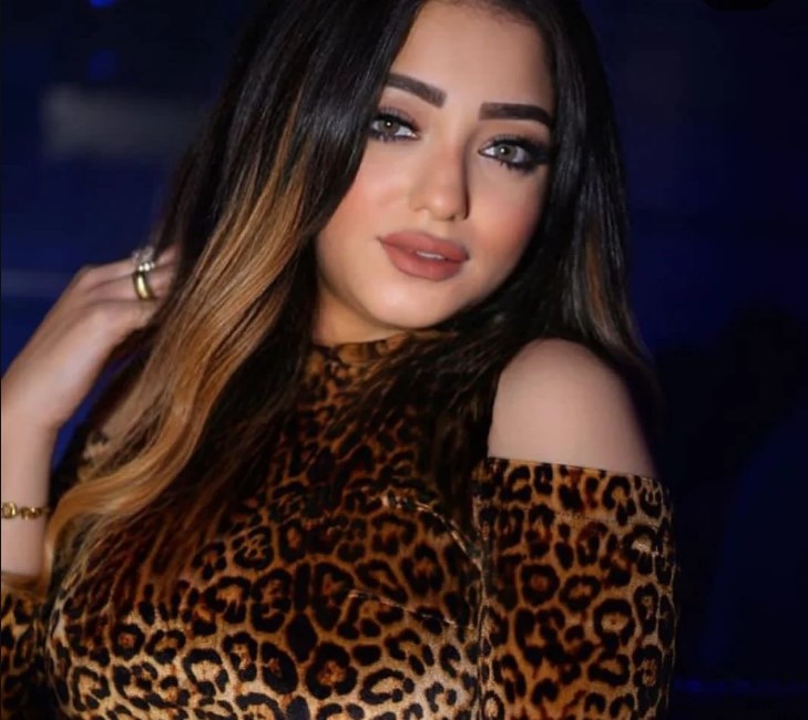 مخدرات وأفعال فاضحة.. القبض على البلوغر