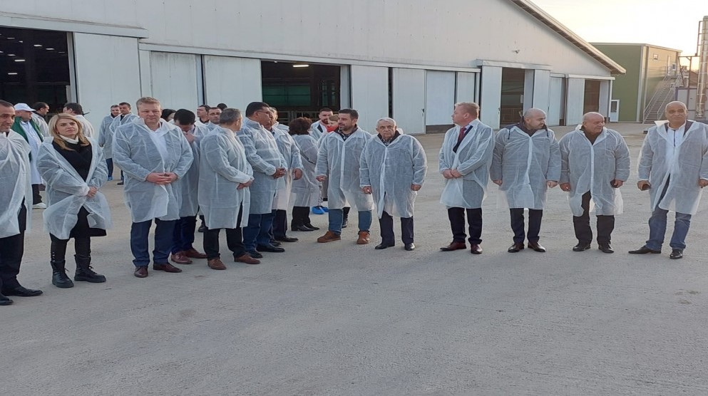 الحنيفات من رومانيا: أهمية استمرارية انسياب