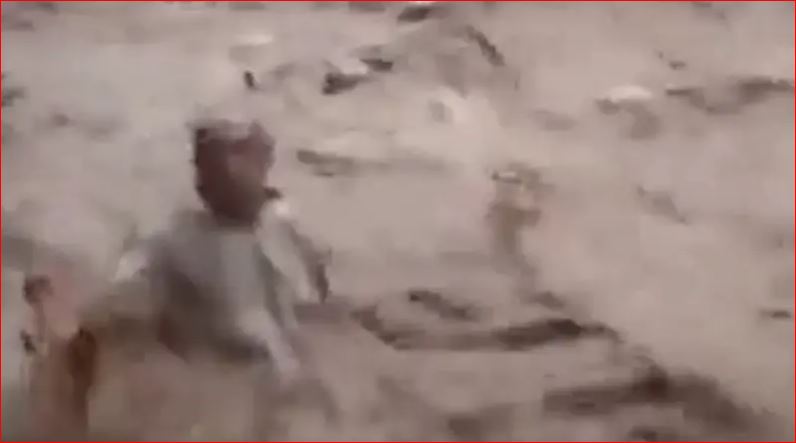 فضّل تصويره على إنقاذه من الغرق..