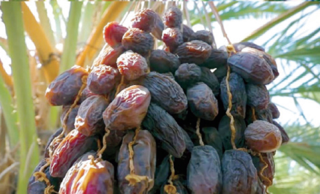 الأردن في المرتبة 14 عربيا كأكثر