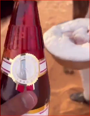 مشروب الفيمتو مع حليب الناقة (فيديو)