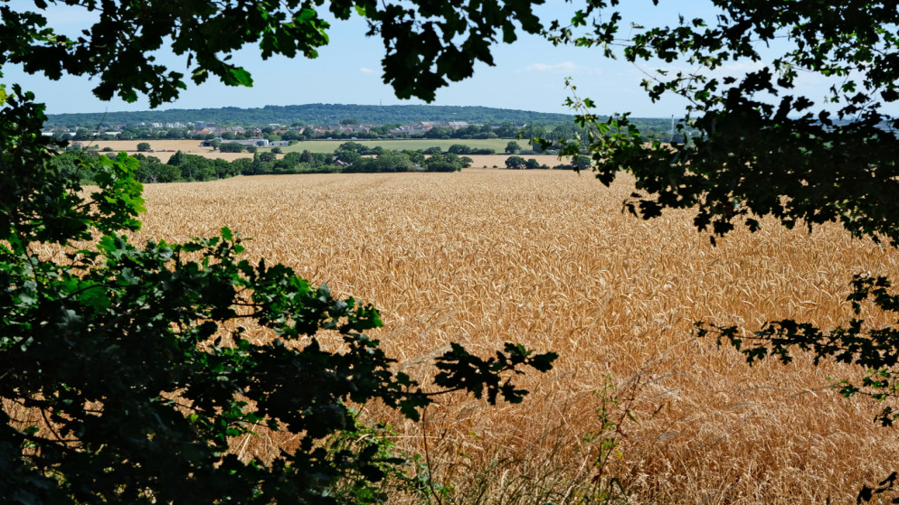 نحو 53.9 مليون شخص عانوا من