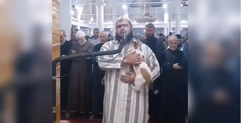 فيديو لـ قطة على كتف الإمام