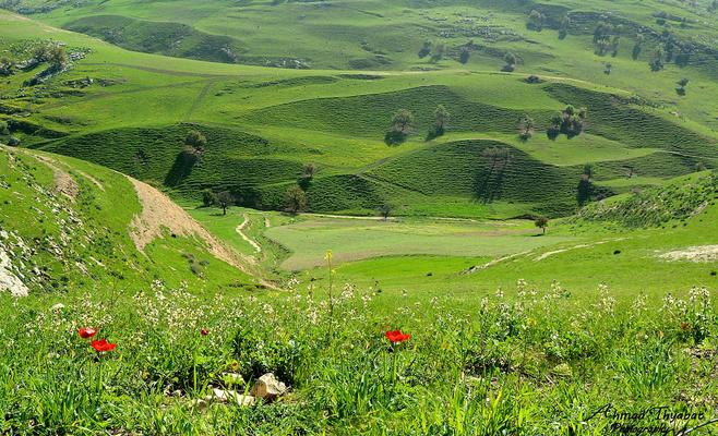 ماذا يقول طقس الأردن غدا