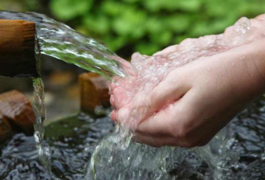 الحكومة: الناقل الوطني مستمر وأولوية للأمن