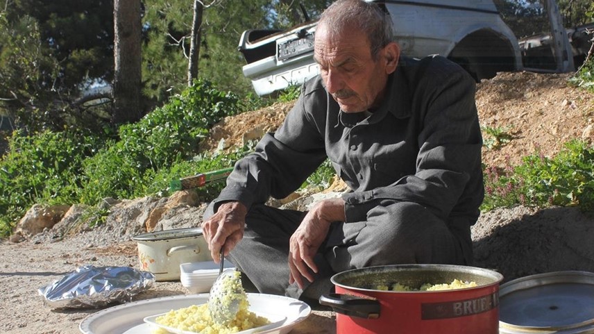 الأردن.. الطيور تنال حصتها من موائد