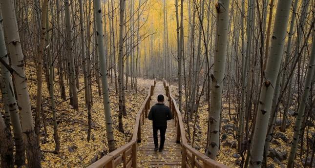 تعرفوا على أفضل وقت للمشي في