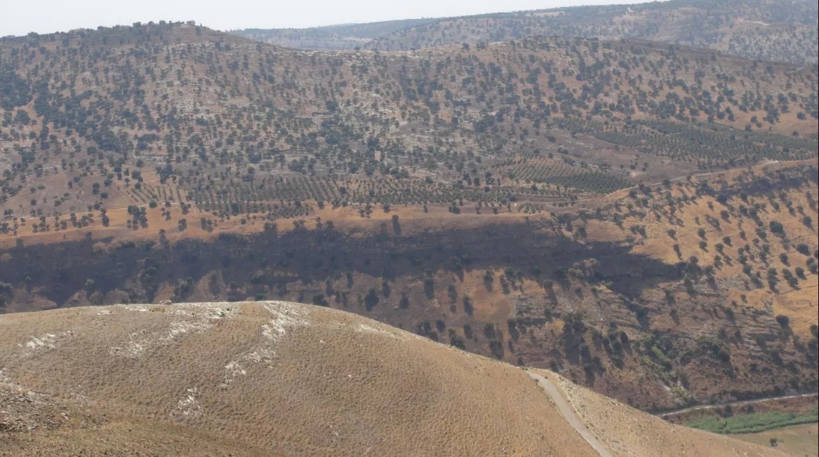 جيش الاحتلال الإسرائيلي يرصد إطلاق 3