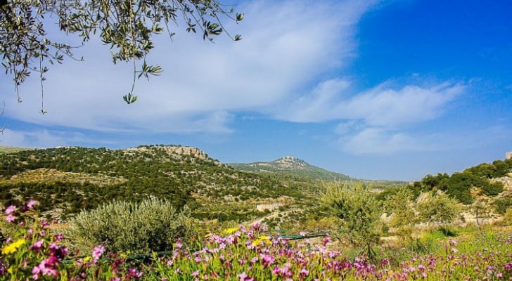 الأرصاد للأردنيين .. زيارات العيد الأنسب