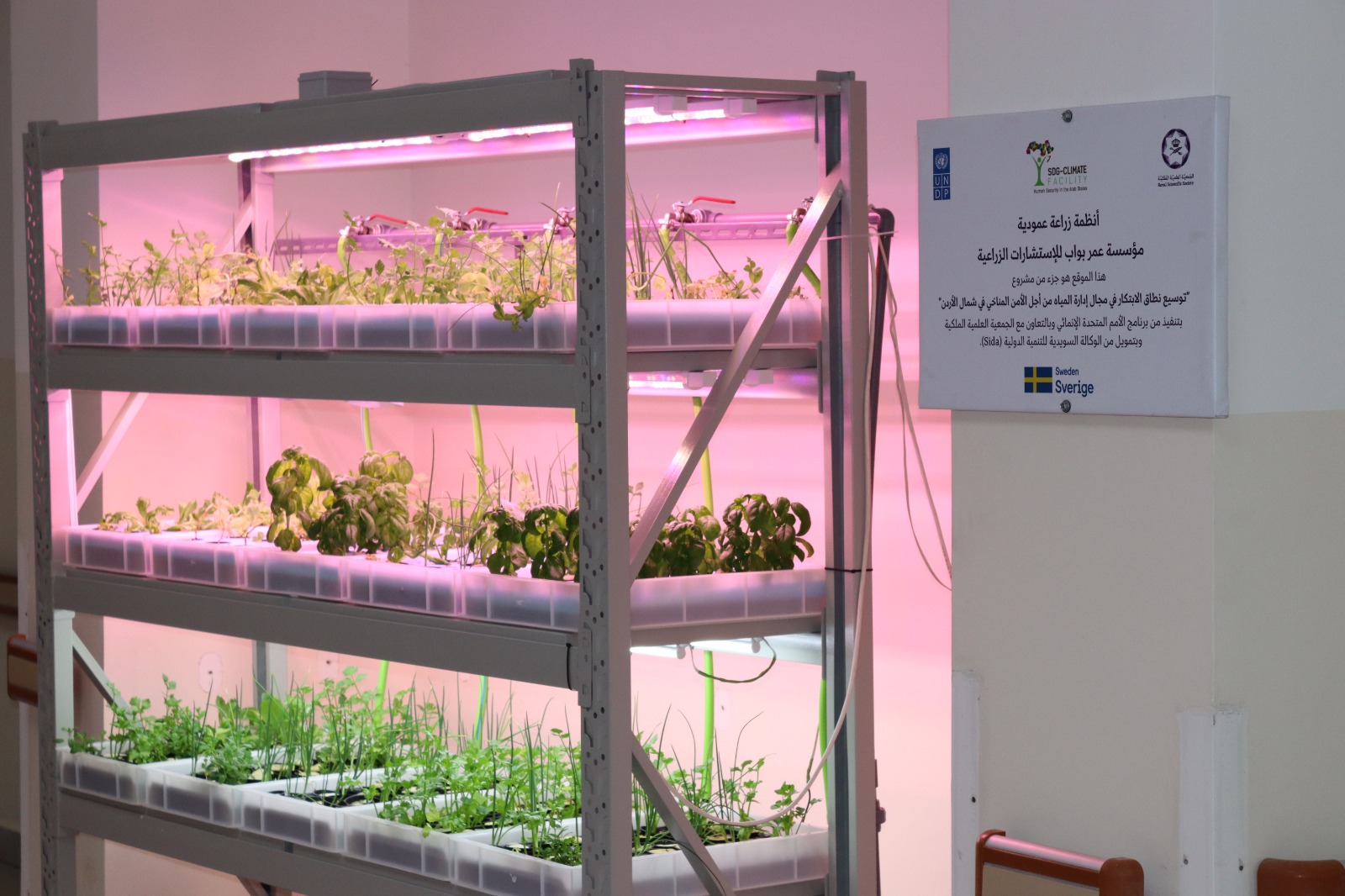 شبان أردنيون يكيفون أنظمة الزراعة المائية