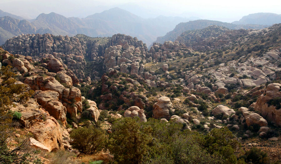 ضانا تستقبل 3 آلاف زائر خلال