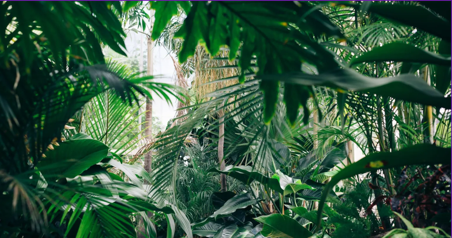 لم نكن نسمع صوتها حتى الآن