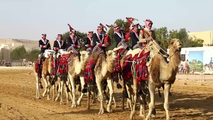 شاهد الحرفية في تنفيذ الحركات لفرسان