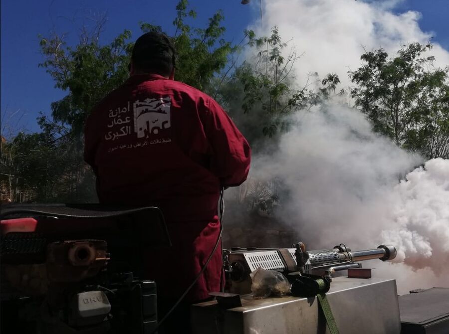 الامانة: كافة شكاوى وملاحظات القوارض والحشرات