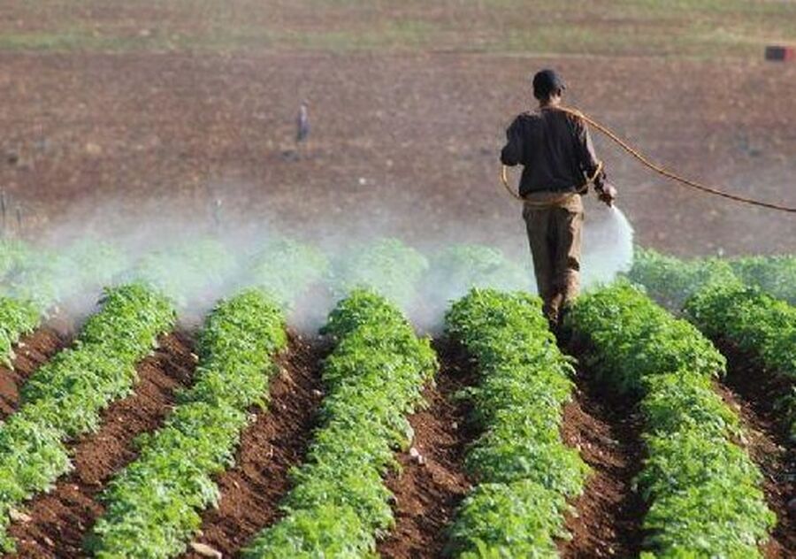 فرص عمل لابناء لواء الكورة ضمن