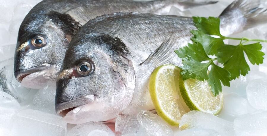 الغذاء والدواء: الأسماك المستزرعة في الأردن