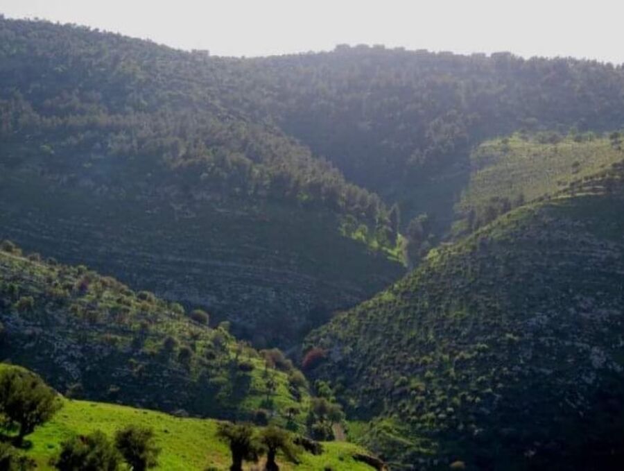 الكايد يفتتح الخميس معرضا للمنتوجات ومشاريع