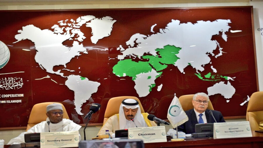 منظمة التعاون الإسلامي تؤكد أهمية الوصاية