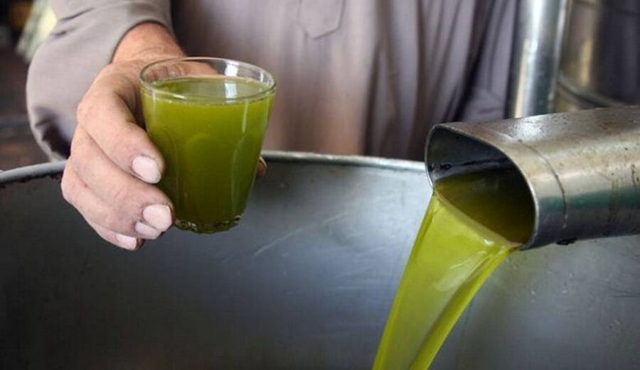 هولندا تفتح الأبواب لاكتشاف زيت الزيتون