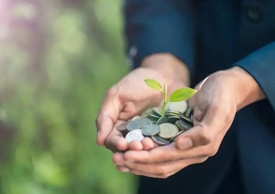 نظام معدل للنظام المحدد لأحكام الأنظمة