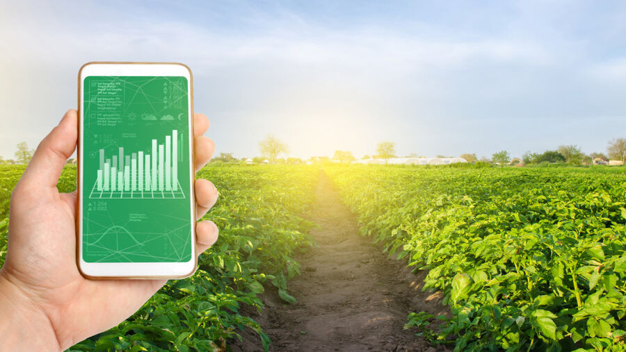 مؤشر الفاو لأسعار الأغذية ينخفض إلى