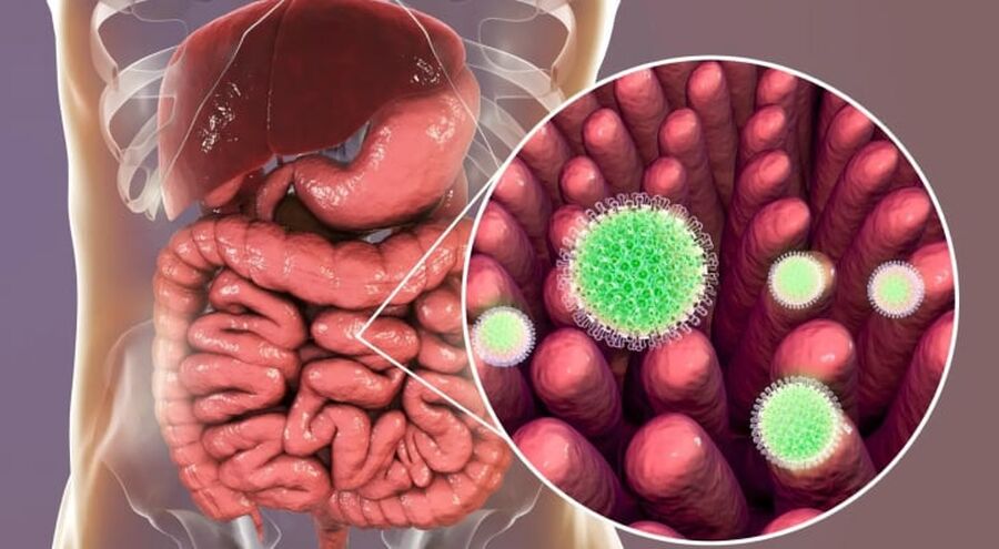 ما هو فيروس الروتا المنتشر عالميا؟