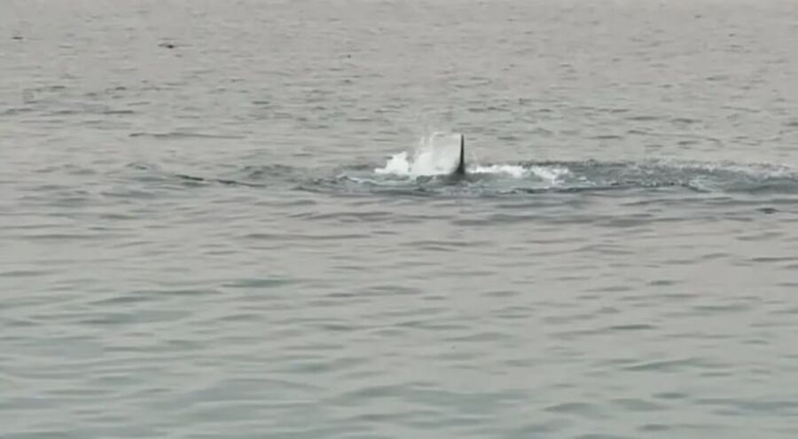 التهمه في 20 ثانية .. تفاصيل