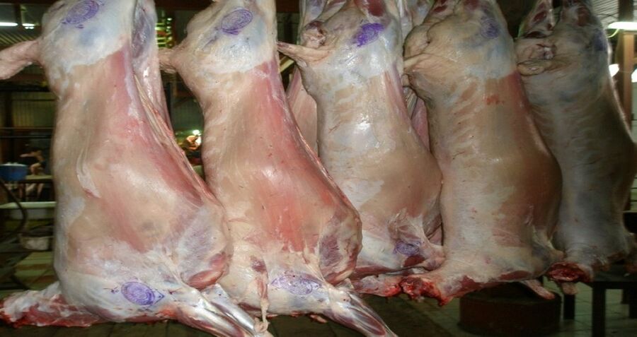 لحوم فاسدة وأحشاء منتهية الصلاحية.. مخالفة