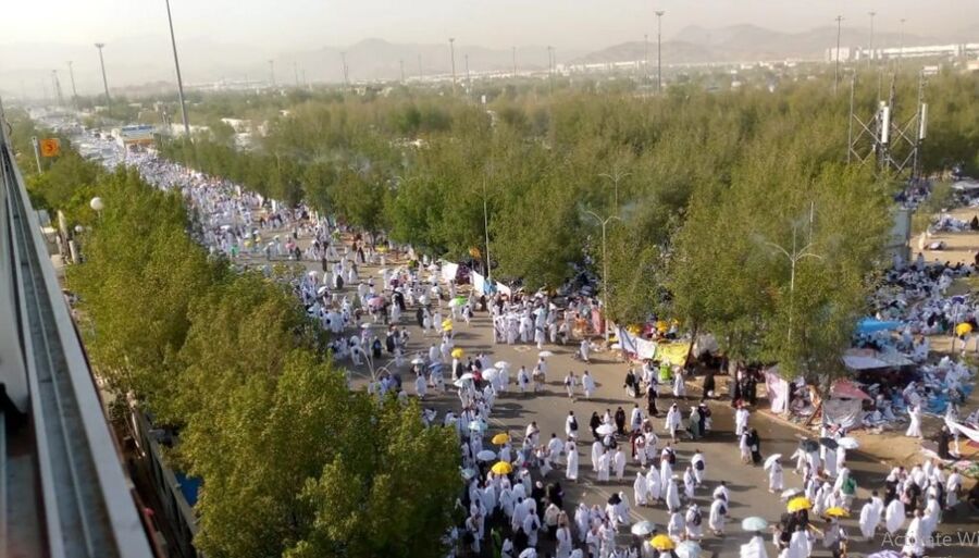 حجاج في عرفات: تنظيم مميز وخدمات