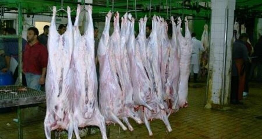 بلدية المفرق: دوام المسلخ البلدي طيلة