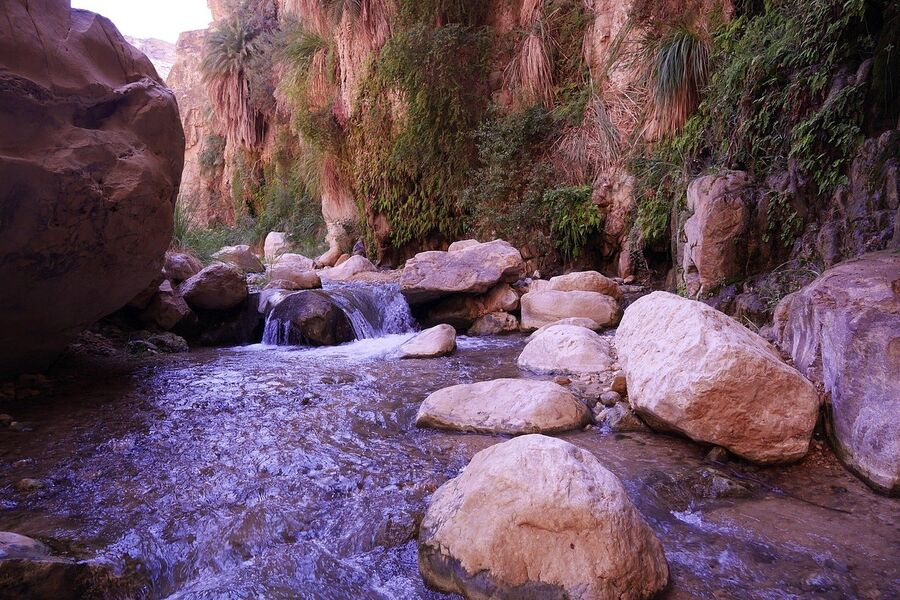 الغابات متنفس سياحي لأبناء الكرك وزوارها