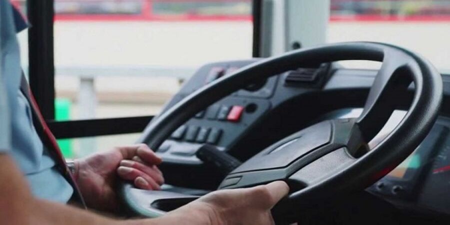 الزام شركات النقل السياحي بتصويب اوضاع