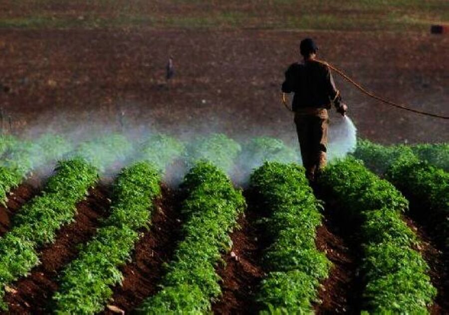 توفر 80 فرصة عمل ضمن مشروع