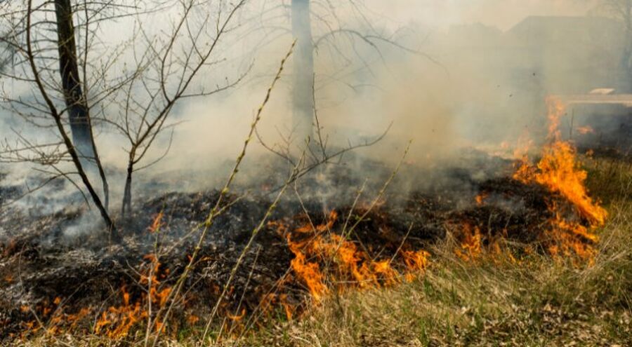 السيطرة على حرائق عجلون بنسبة 90%