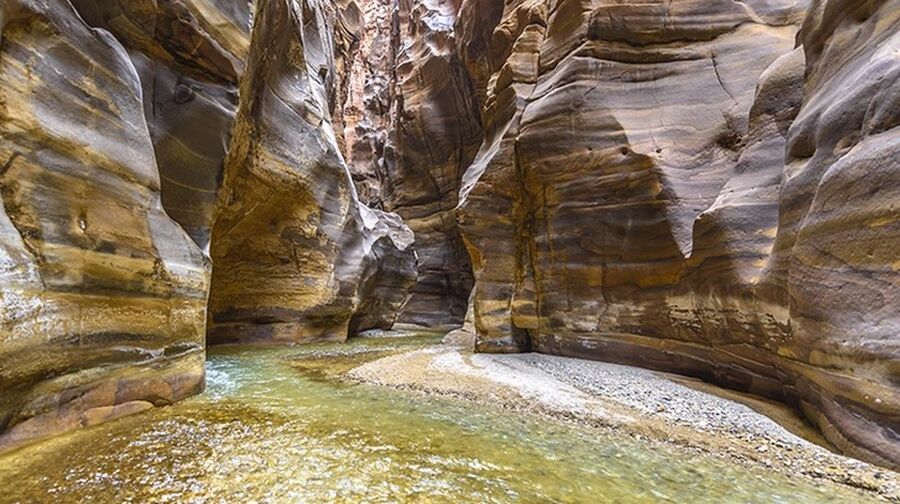 هام لمكاتب السياحة.. تعليمات أسس وشروط