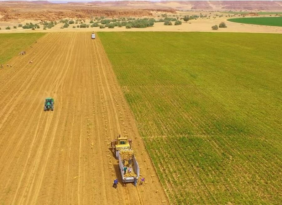 الفيديو التعريفي لشركة الضمان للاستثمار والصناعات