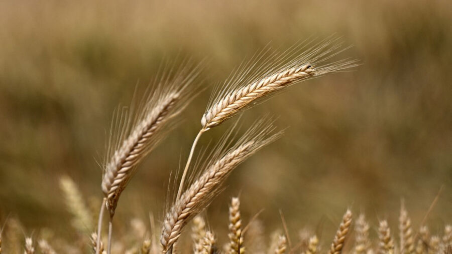 الأمم المتحدة: الملايين سيدفعون ثمن انسحاب