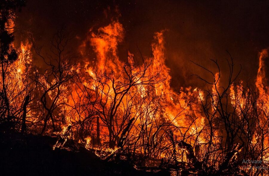 الجزائر.. توقيف 4 أشخاص للاشتباه في